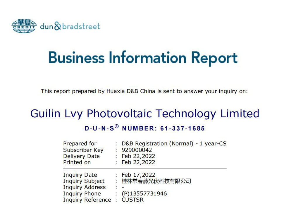 Business Information Report